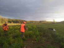 Bois et chasse du Ham à Saint-Momelin