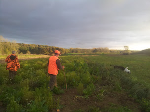 Photo n°1 de Bois et chasse du Ham à Saint-Momelin (Attraction touristique)