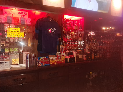 Bear's Den - Visual