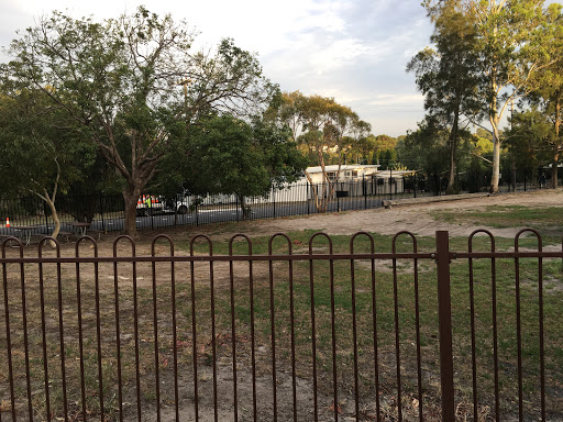 Oatley Public School Gallery - Australia