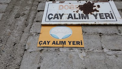 Düzmeşe Doğuş Çay Alımyeri