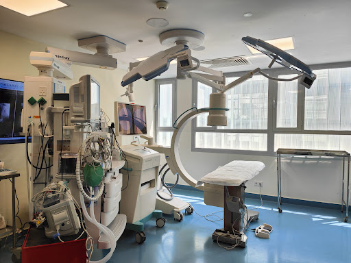 Hospital Veterinario Puchol 🏥 Urgencias 24 horas