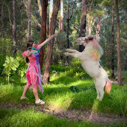 Unicorn Parties Sydney
