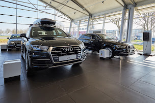 Photo n°31 de AUDI ALENCON - POIRIER ET FILS AUTOMOBILES à Cerisé (Vendeur de voitures d'occasion)