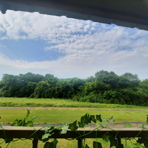 Millbrook Pointe - Visual