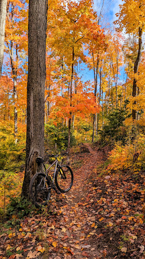 Tanton Family Working Forest Reserve - Mountain Bike Trails Gallery - United States