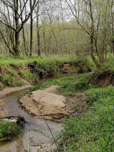 Powell Preserve - Thumbnail
