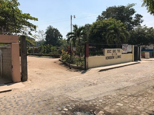 Escuela Secundaria Ténica #15 y 30 Homobono Llamas