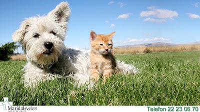 veterinary-care