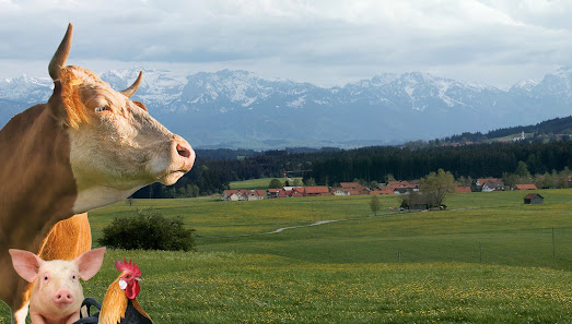 BBV LandSiedlung GmbH - Eggenfelden