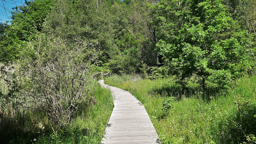 Zwölfweiherweg - Visual