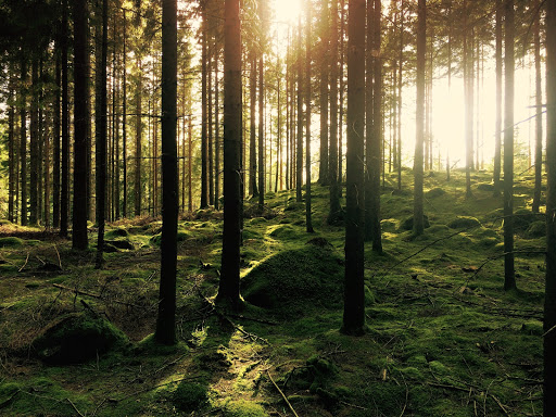 Joseph Stewart County Park Gallery - United States