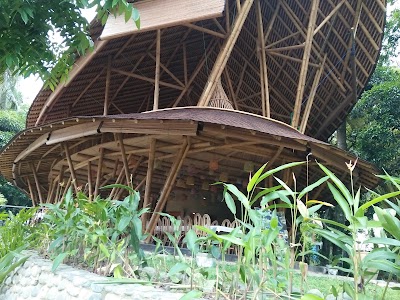 Photos of UD Audrey