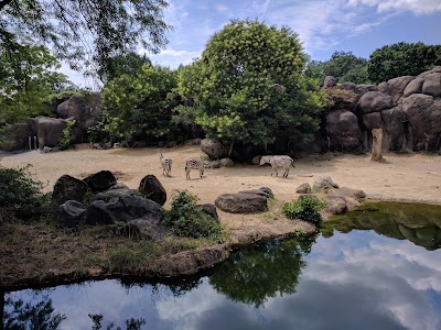 The Maryland Zoo in Baltimore