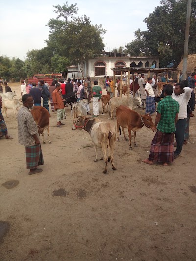 Photos of Thakurgaon Bus Stand
