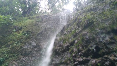 park