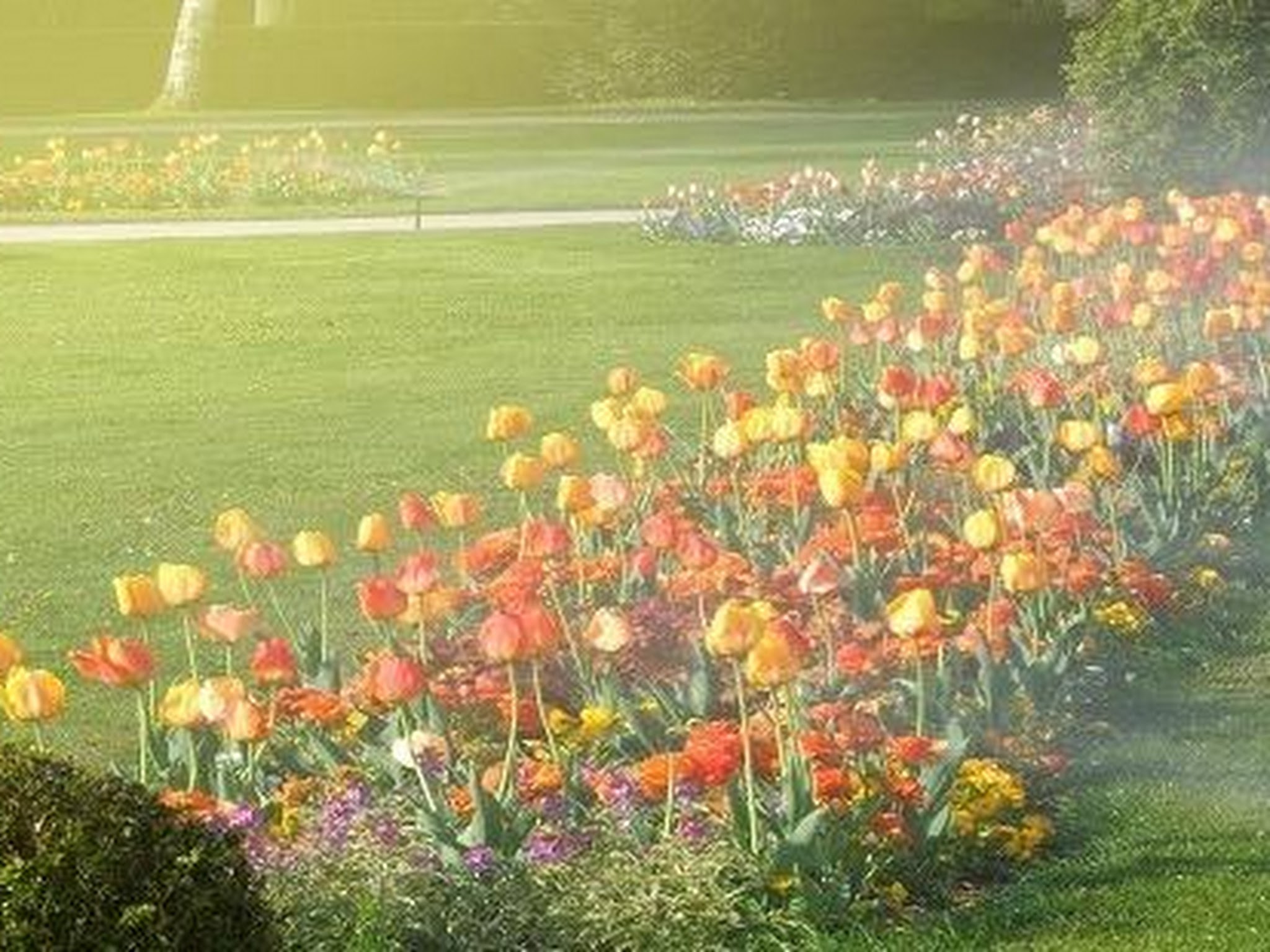 Irrigation Pros LLC logo