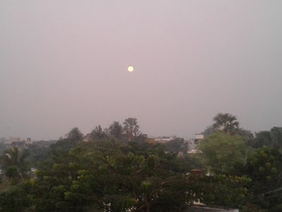 Photos of Sector-14 Park