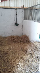 Photo n°19 de AS-Equitation à Lonçon (Centre équestre)