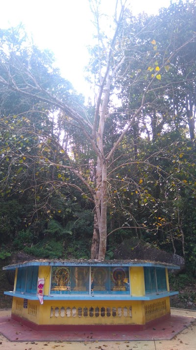 Photos of Diwankaralena Aranya Senasanaya