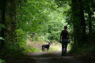 Photo n°14 de LA Ferme du Planet à Deux-Grosnes (Gîte)