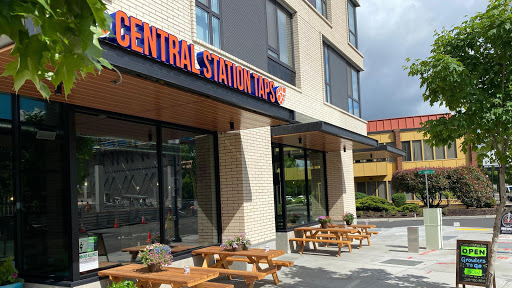 Central Station Taps - Visual
