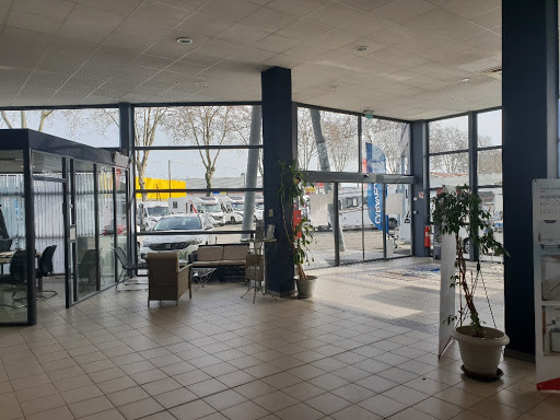 Libertium Fenouillet - Thumbnail