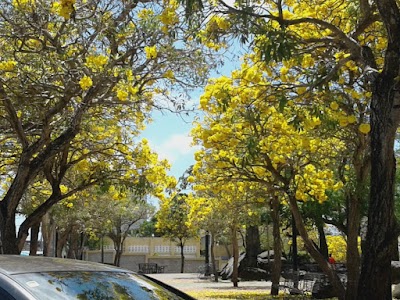 Photos of Cristo Libre Park