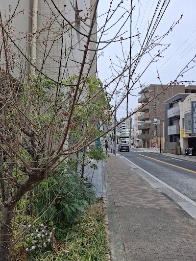 ランドマークタウン紅梅通り