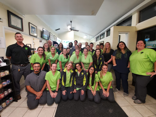 Gainesville Animal Hospital West - Thumbnail