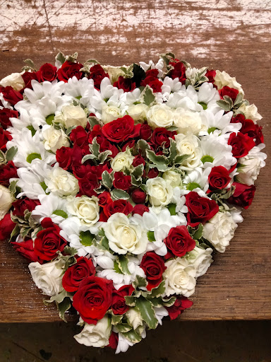La Gardenia Di Zulian Marzia - Thumbnail