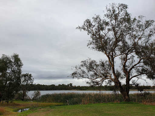 Lake Gwelup Reserve North West - Thumbnail