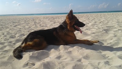 Photos of Golden Beach North Coast