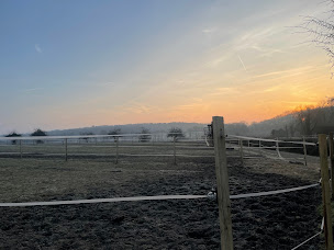 Photo n°18 de Hopps Family Stables - Les Ecuries du Marais à Le Val-Saint-Germain (Pension pour chevaux)