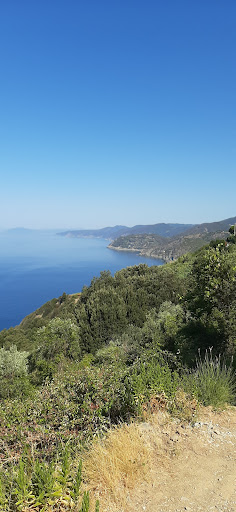 Martolga Bay - Thumbnail