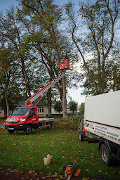 Photo n°9 de SERPE Agence de Poitiers à Châtillon-sur-Thouet (Paysagiste)