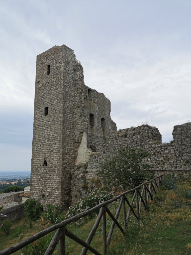 Rocca dei Papi - Visual