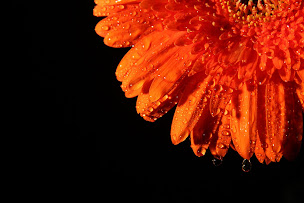 Photo n°4 de 2S FORMATION à Mâcon (École d'esthétique)