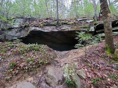 Cumberland Falls