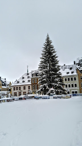 Eisarena Erzgebirge - Thumbnail