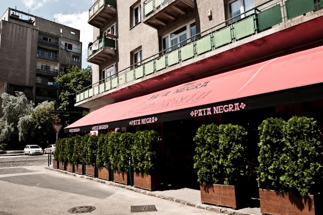 Pata Negra Buda