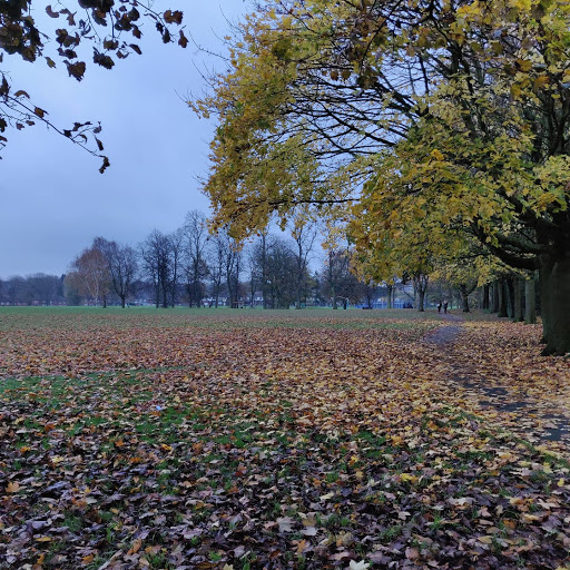 Jesson Park - Thumbnail