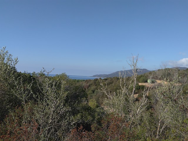 Plage de Cupabia