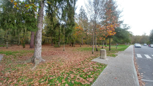 Rest Area The Saulot - Thumbnail