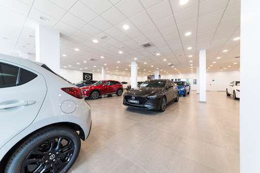 Mazda Arima Canarias - Las Chafiras - Thumbnail