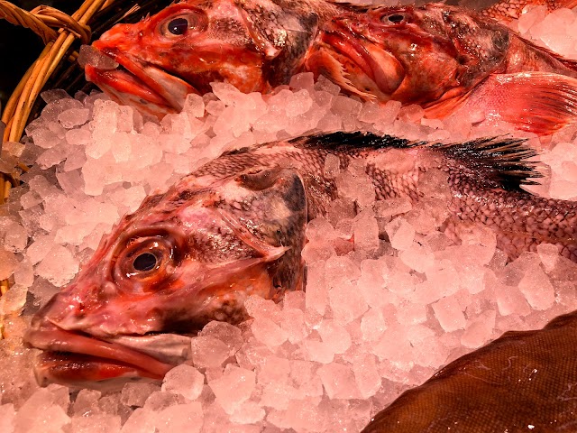 Poissonnerie Lugdunum Marée