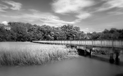 Photos of Edisto Beach State Park