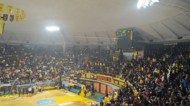 Αλεξάνδρειο Αθλητικό Μέλαθρο (Παλαί ντε σπόρ)