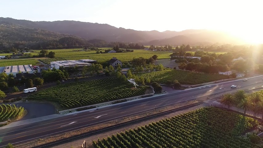 HALL Wines St. Helena by null