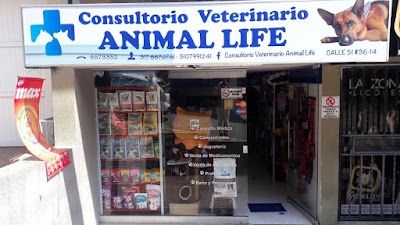 Photos of Consultorio Veterinario Animal Life